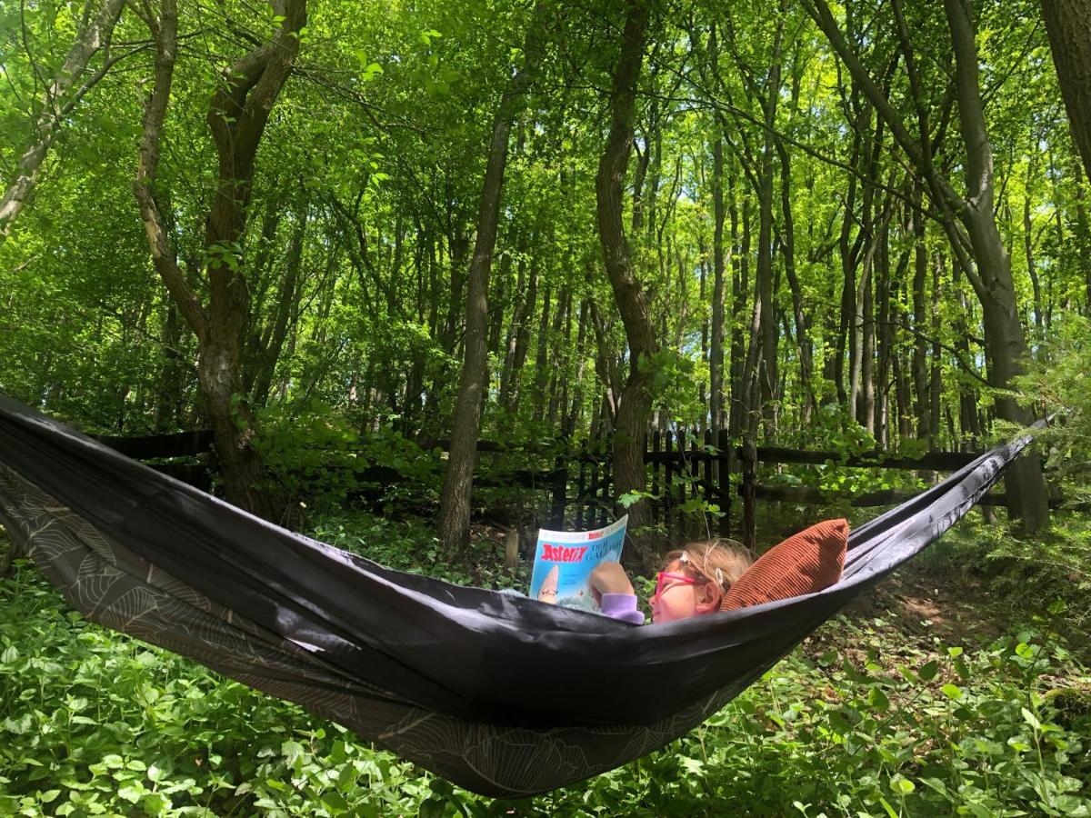 Ferienhaus Waldbaden Im Nationalpark Eifel- Am Bach Schleiden Buitenkant foto