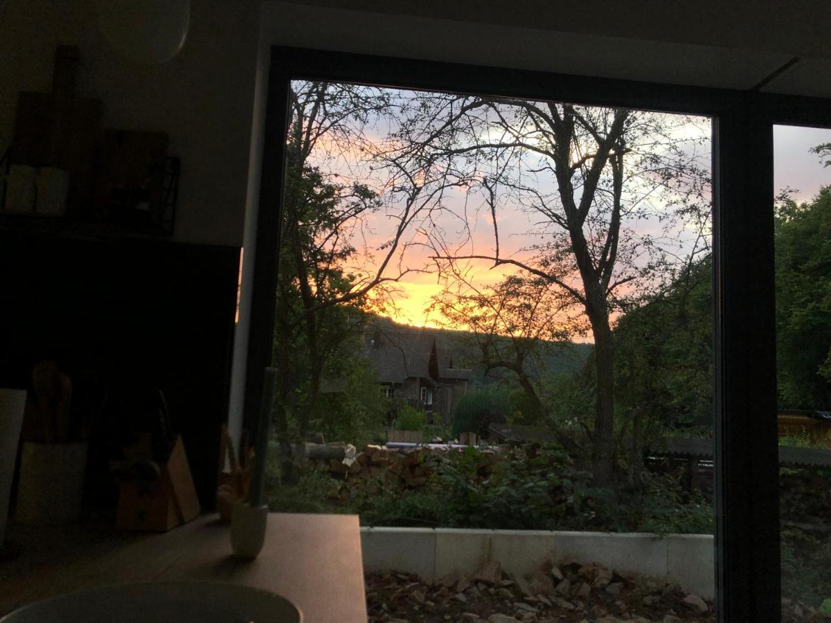 Ferienhaus Waldbaden Im Nationalpark Eifel- Am Bach Schleiden Buitenkant foto