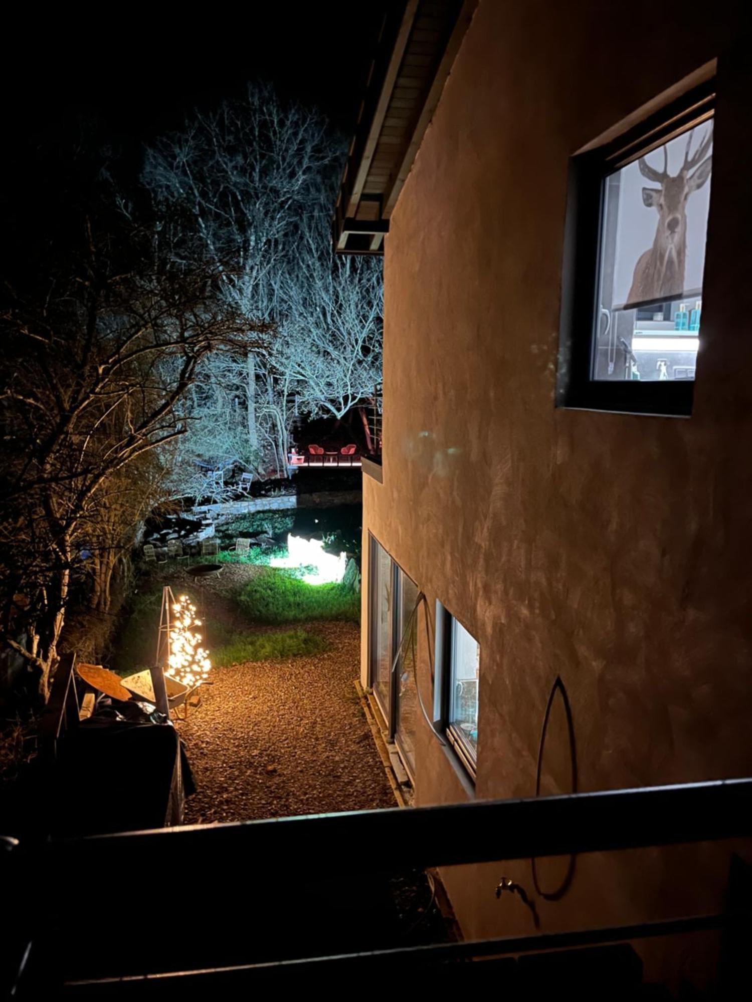 Ferienhaus Waldbaden Im Nationalpark Eifel- Am Bach Schleiden Buitenkant foto